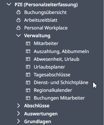 PZE Dienst- und Schichtpläne.png